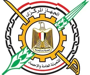 Egypt’s monthly inflation rate increases by 0.9% in July: CAPMAS