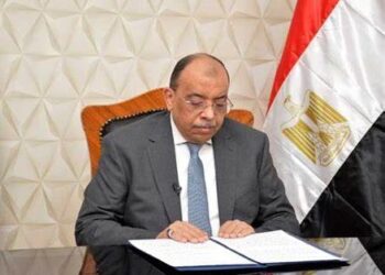 Local Development min. says keen to spread practices of local development programme in Upper Egypt