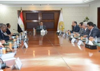 Local development min. asserts depth of relations with Madagascar in different domains