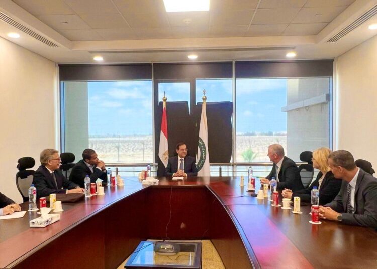 Mulla, Denmark's Haldor Topsoe delegation probe joint co-operation 1 - Egyptian Gazette