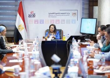 Planning min.: NACDW plays key role in economic empowerment