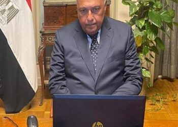 Shoukry welcomes appointment of Simon Stiell as UN Climate Change Executive Secretary