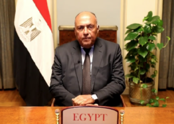 Shoukry presses for taking faster steps to mitigate climate change, implement int’l obligations