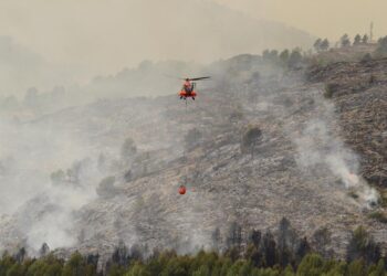 Spain: 10 injured while leaving stopped train near wildfire