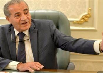 Supply min.: Egypt’s strategic stock of wheat sufficient for 7 months