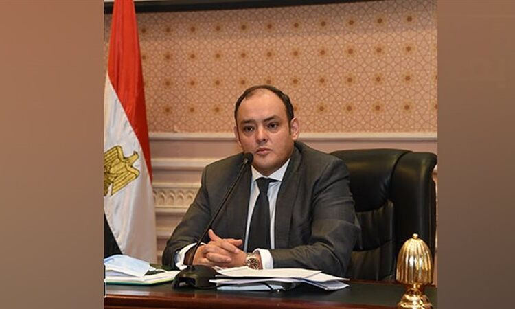 Trade ministry aims to develop existing industries, luring investments: minister 1 - Egyptian Gazette