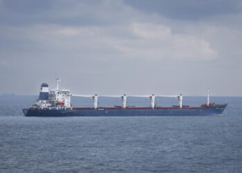 First ship with Ukrainian grain inspected off Istanbul coast