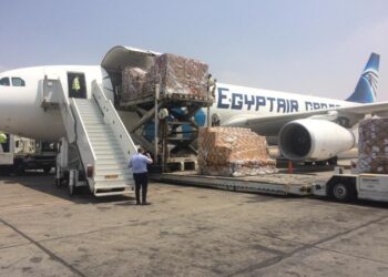 Aviation: Key element in turning Egypt into logistics hub for goods
