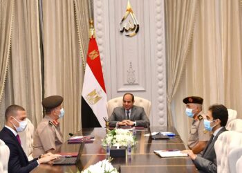 Sisi directs establishment of industrial complex for polyethylene production