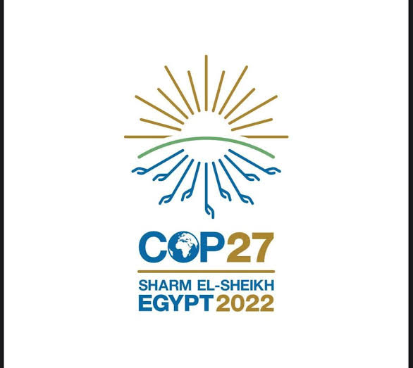 Cairo governor hails national green project initiative 5 - Egyptian Gazette