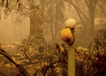 Western flames spread, California sees its largest 2022 fire