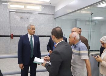 Manpower minister: Sisi ordered constant contact with citizens to offer them best services