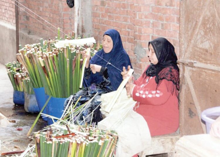 Egyptian village struggles for recognition as papyrus cultivation hub 2 - Egyptian Gazette Egyptian village struggles for recognition as papyrus cultivation hub 1 - Egyptian Gazette