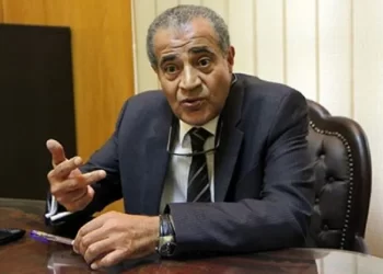 Supply min.: Egypt’s strategic stock of wheat sufficient for 7 months