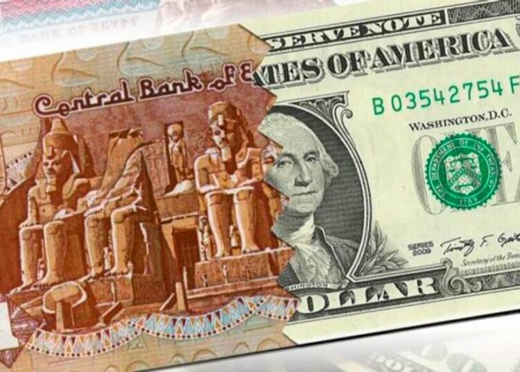 US dollar exchange rate stable at major banks in Egypt 1 - Egyptian Gazette