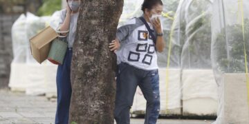 China, Japan ground ferries, flights as typhoon approaches