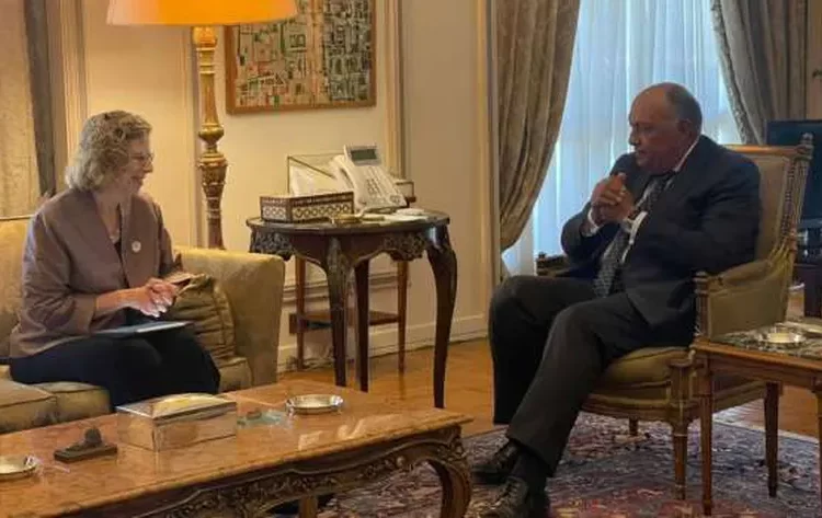 Egypt FM, UNEP executive director discuss promoting climate action 1 - Egyptian Gazette