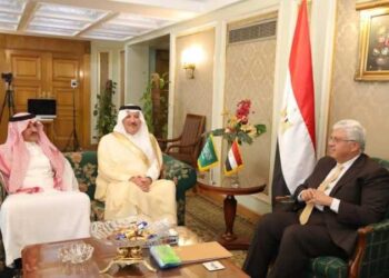 Egypt, Saudi Arabia probe means to boost scientific co-operation