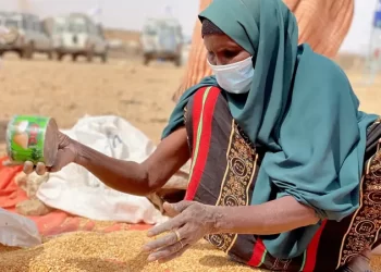 Dozens killed by Ethiopian ethnic militia