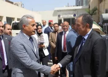 Electronic system to be launched to facilitate travel of Egyptians to Kuwait: Manpower min.