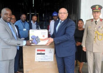 Egypt delivers medical aid to Tanzania