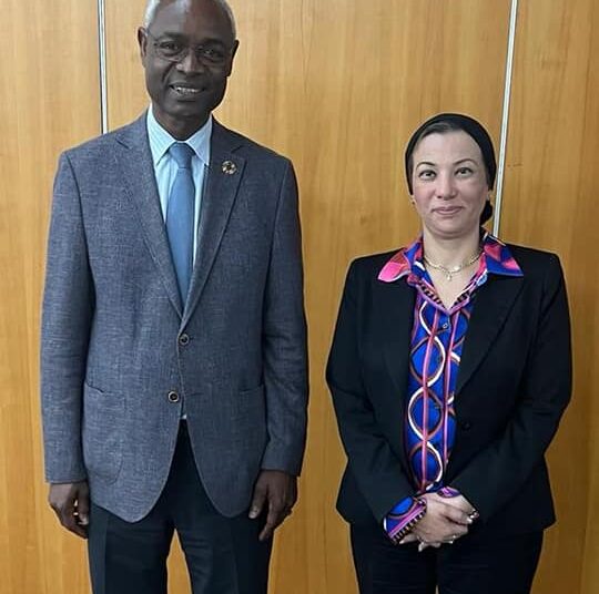 Environment min., Senegalese counterpart confer on rallying distinguished African participation in COP 27 1 - Egyptian Gazette