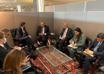 Shoukry reviews Egypt’s vision on COP27