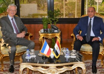Egypt, France discuss boosting air transportation ties