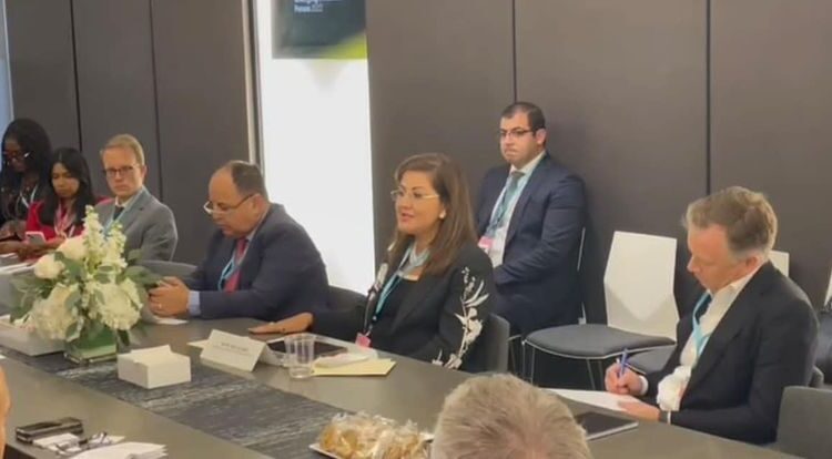 Planning minister reviews factors of turning Egypt to promising investment hub 1 - Egyptian Gazette