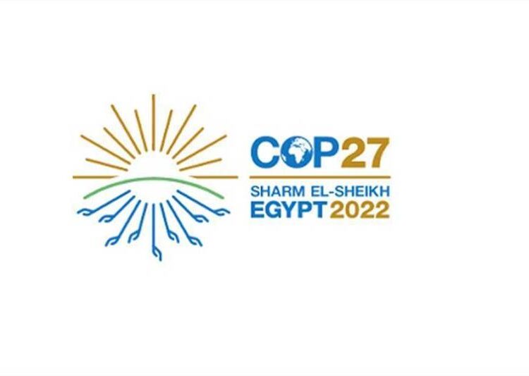 Citibank to share climate funding expertise 1 - Egyptian Gazette