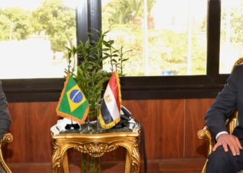 Egypt, Brazil discuss boosting co-operation in air transport domain