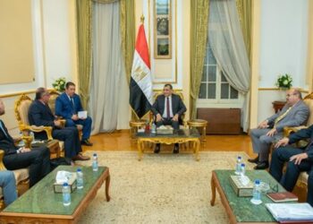 Egypt, France mull boosting truck manufacturing co-operation