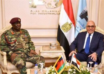 Egypt, Malawi probe means to boost co-operation