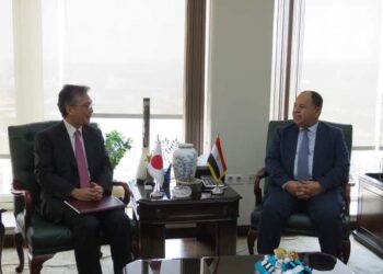 Egypt has become attractive destination for FDI: Finance min.