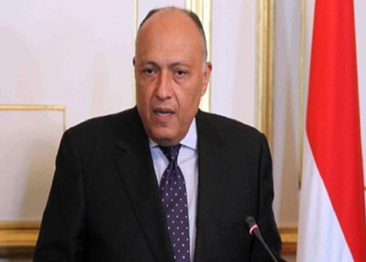 Egypt keen to support peace efforts in Mali; promote economic relations with Hungary 1 - Egyptian Gazette