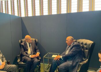 FM stresses importance of achieving stability in Lebanon