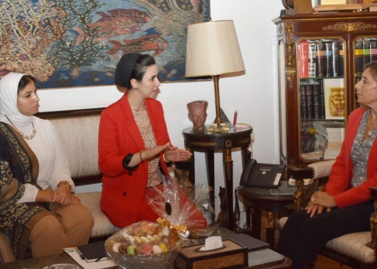 Culture Ministry, Decent Life Foundation in co-operation talks 1 - Egyptian Gazette