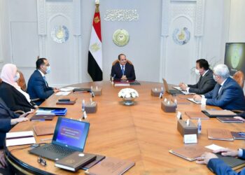 Sisi calls for setting up integrated industrial complex to localise prosthetics production