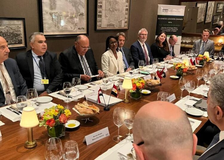 FM reviews Egypt’s efforts to become regional energy hub 2 - Egyptian Gazette FM reviews Egypt’s efforts to become regional energy hub 1 - Egyptian Gazette