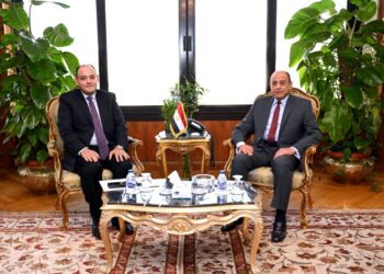 Talks to increase air freight  for Egyptian goods