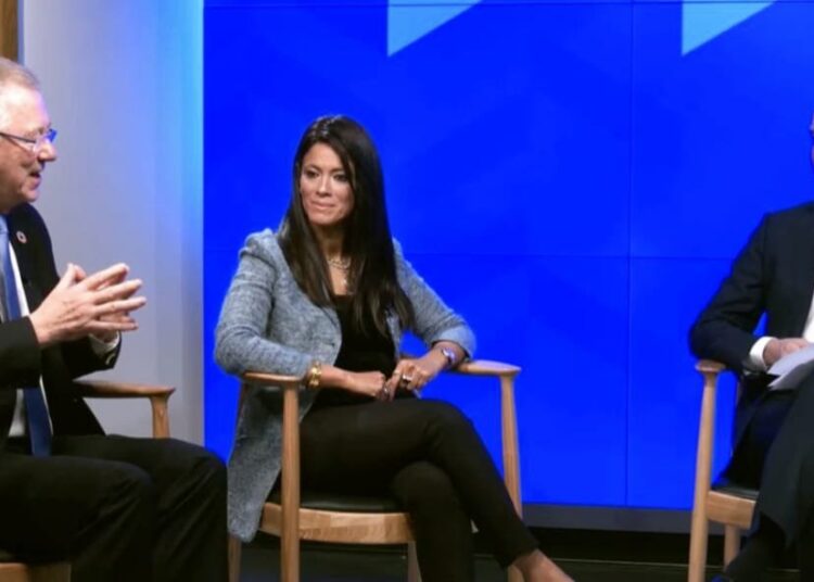 Int'l co-operation min., European Commission confer on efforts exerted to support NWFE 1 - Egyptian Gazette