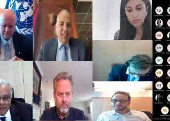 Egypt working on listing water issues within activities of COP 27: Irrigation min.