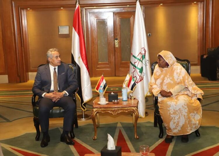 Egypt, Sudan to boost vocational training ties 1 - Egyptian Gazette Minister of Manpower Hassan Shehata during his talks on Tuesday with Sudanese Minister of Labour and Administrative Reform Suad Ahmed Al-Tayeb.
