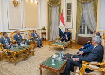 Military production minister, Egyptian ambassador to Kenya probe bilateral cooperation