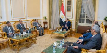Military production minister, Egyptian ambassador to Kenya probe bilateral cooperation 1 - Egyptian Gazette Military production minister, Egyptian ambassador to Kenya probe bilateral cooperation