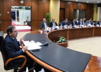 Petroleum min. meets AmCham delegation to coordinate efforts ahead of COP27