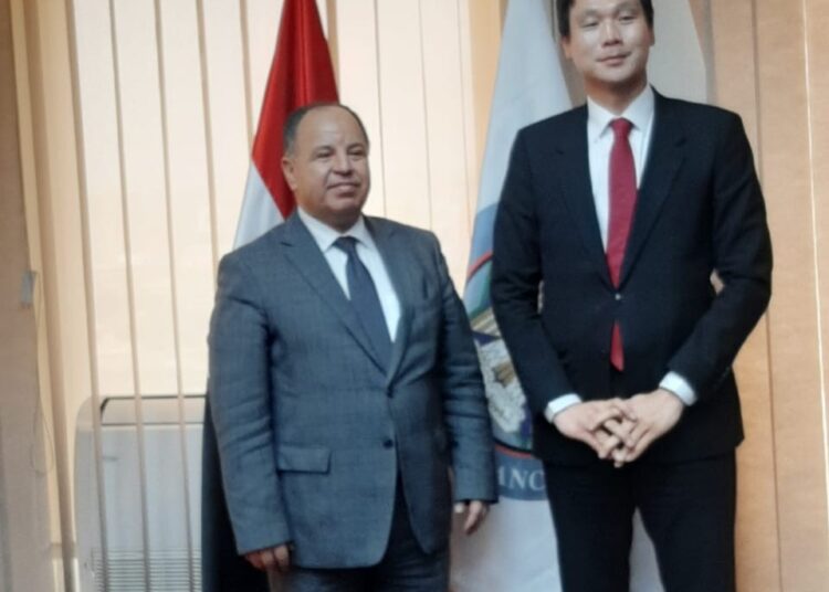 Keen support for South Korean firms operating here 1 - Egyptian Gazette