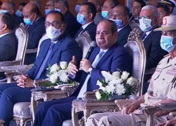 Sisi: SCA makes huge returns despite global recession