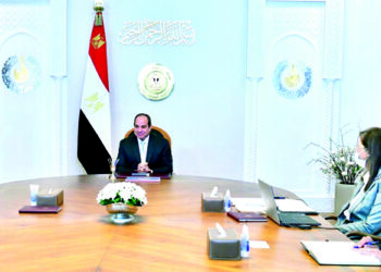 Sisi reviews development of economic indicators