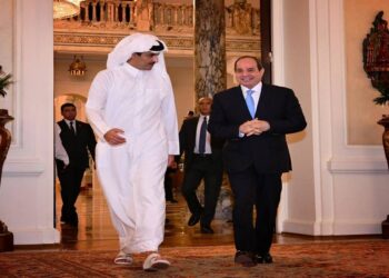 Sisi’s visit to Qatar represents strong support to Arab stance: Deputy director of ECSS to MENA